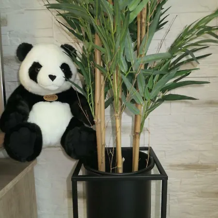Panda Banska Bystrica